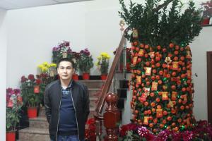 迎春花香萦绕于“新”，又是一年好光景